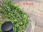 松農的美好，開新視窗
